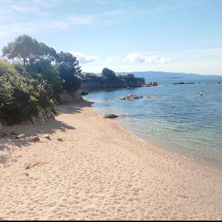 Appartamento Magnifique T2 Ajaccio Ajaccio  Esterno foto